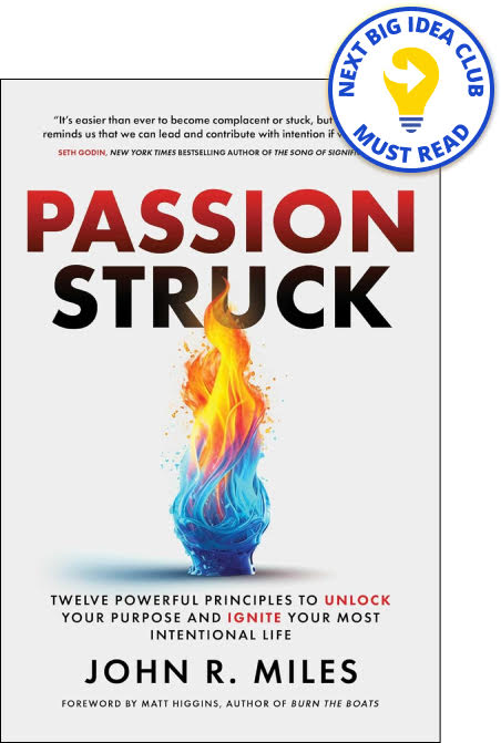 Passion Struck John L. Miles LitPick Book Reviews